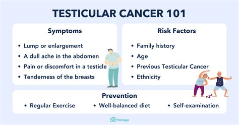 Testicular Cancer Symptoms Types Stages Causes Treatment Homage Malaysia | sexiezpix Web Porn