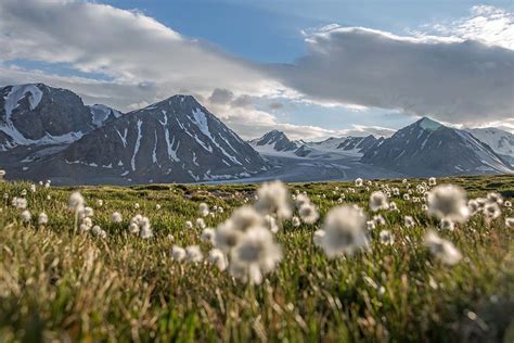 Trekking Mongolia's Altai Mountains | Switchback Travel