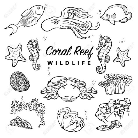 Easy Drawing Of Coral Reef at GetDrawings | Free download