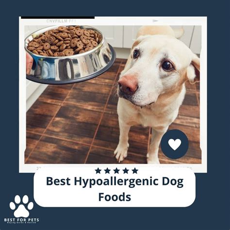 Dog Foods - 7 Best Hypoallergenic Dog Foods In 2024