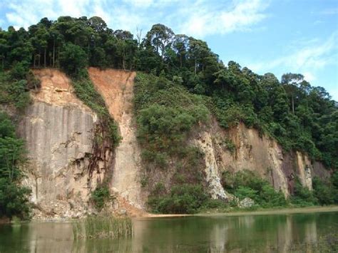 Singapore’s treasure of rain forests upon Bukit Timah Hill | The Vacation Gateway