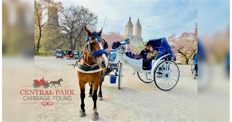 Central Park Horse and Carriage Rides in New York