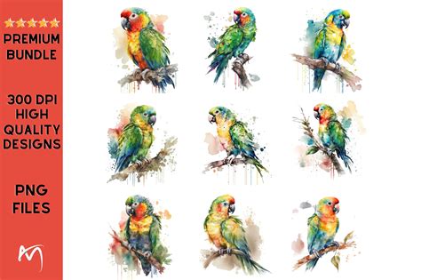 Cute Parrot Watercolor Graphic by MA Designs · Creative Fabrica