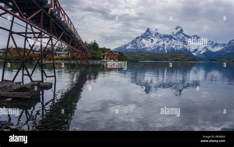 Wildlife and Nature at Parque Torres del Paine, Chile, Patagonia Stock ...