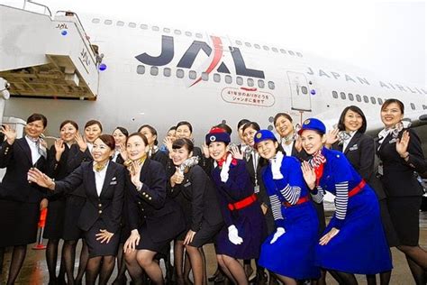 Fly Gosh: Japan Airlines Cabin Crew Interview Process and Stages ...