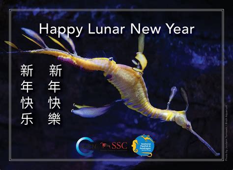 Happy Lunar New Year from the IUCN Seahorse Pipefish and Seadragon ...