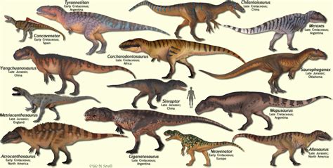 BIO113-Carnivorous Dinosaurs