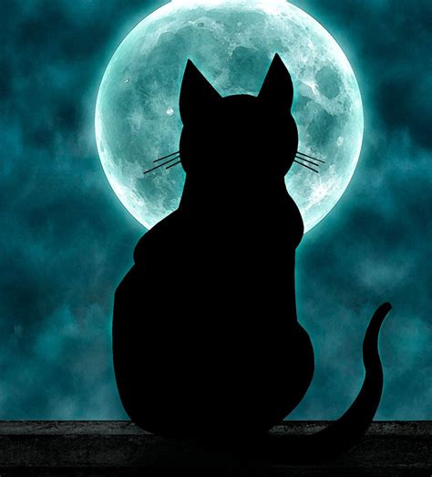 Cat Moon | Cat with moon by kuvaajankulma on DeviantArt | Canvas art ...