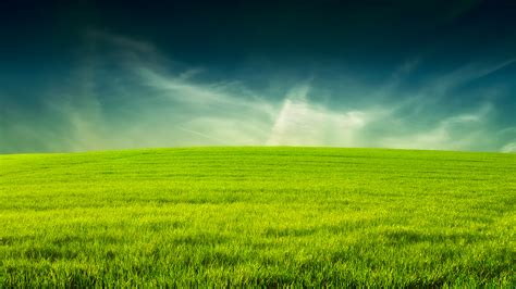 Grass Backgrounds Free Download