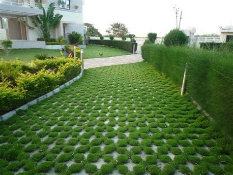 Driveway With Grass In The Middle