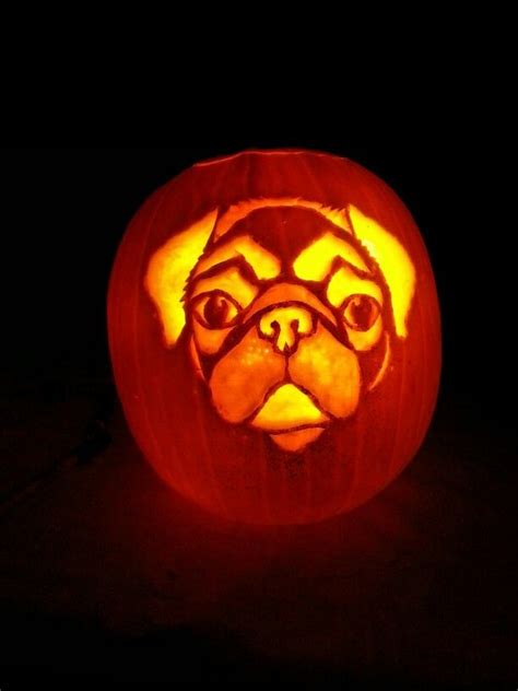 Pug pumpkin | Pumpkin stencil, Pumpkin carving, Pumpkin