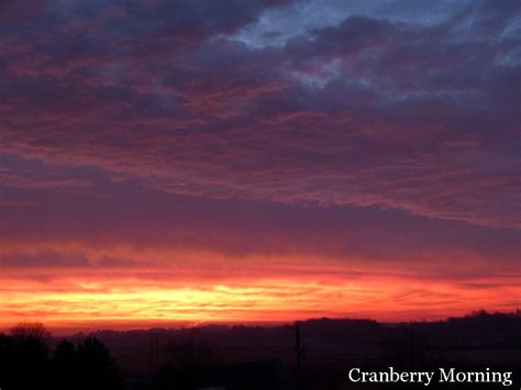 Cranberry Morning: The Sun Comes Up, It's a New Day Dawning