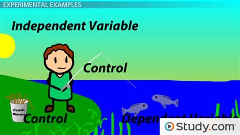 Independent & Dependent Variables | Definition & Examples - Lesson ...