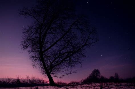 Winter Night Sky Wallpaper - WallpaperSafari