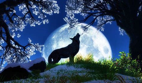 Cool Wolf Backgrounds - Wallpaper Cave