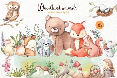 Woodland Cute Animals Clipart. Forest Graphic by ElenaZlataArt ...