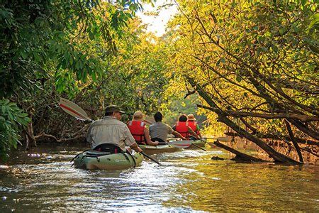 Best Luxury Amazon Rainforest trips in Ecuador - Lodges, Cruises, Camping!