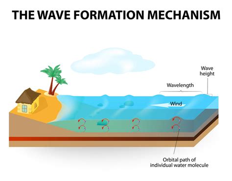 Differences of wind and surge waves and their influence on surfing