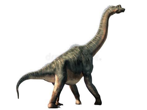 Giraffatitan Dinosaur Stock Illustrations – 38 Giraffatitan Dinosaur Stock Illustrations ...