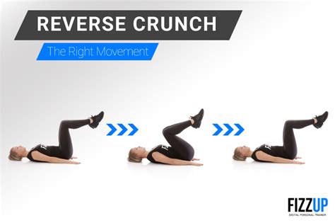 Get Abs of Steel with Reverse Crunches! | FizzUp