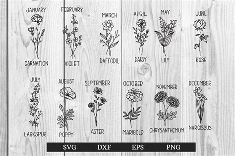 Birth Flower Clipart Rose Iris Lily Clipart Birth Month Lupon Gov Ph | The Best Porn Website