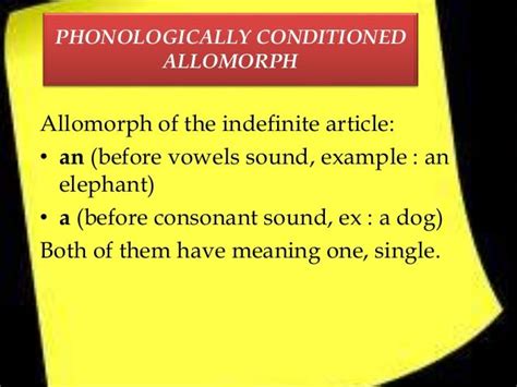 allomorph and morphology