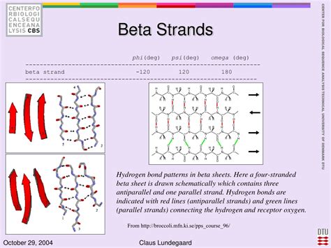 PPT - Protein Secondary Structures PowerPoint Presentation, free ...