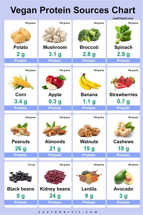 Vegan Protein Sources Chart - Protein per 100 g