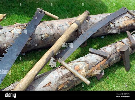 A selection of old tree cutting tools, as used by the British Army ...