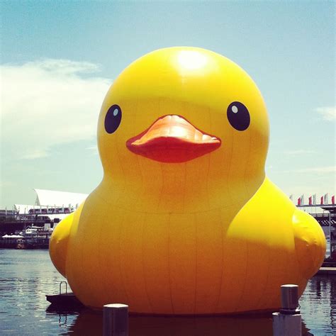 Giant rubber ducky in Darling Harbour, Sydney. | Rubber ducky, Ducky ...