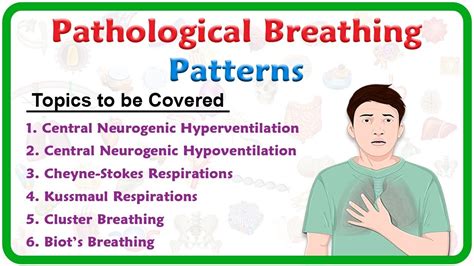 Pathological breathing / Abnormal breathing patterns : Kussmaul, Cheyne stokes, Biot's, Cluster ...