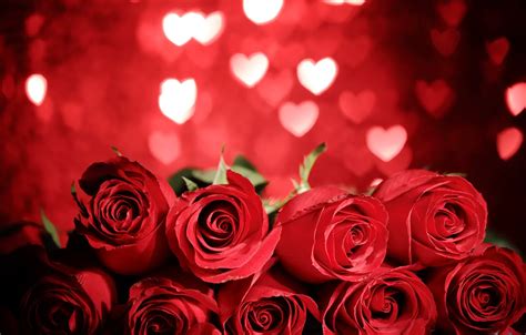 Wallpaper red, love, heart, flowers, romantic, gift, roses, red roses, valentine`s day images ...