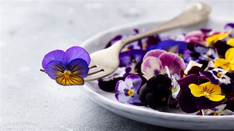 18 Edible Flowers And How To Use Them