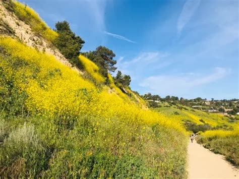 10 Best Trails and Hikes in Rancho Palos Verdes | AllTrails