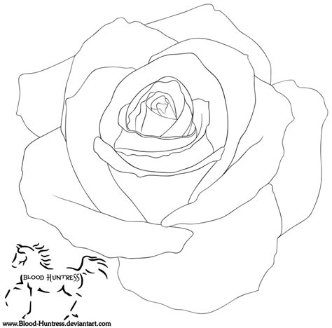 Free Rose Drawing Outline, Download Free Rose Drawing Outline png images, Free ClipArts on ...