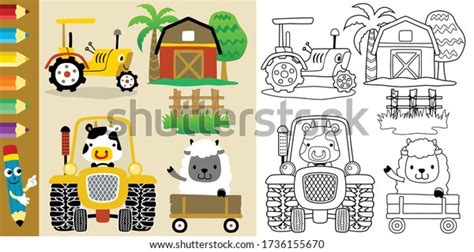 Vector Farm Field Elements Cartoon Funny Stock Vector (Royalty Free ...