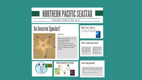 Northern Pacific Seastar by Julia Walls on Prezi