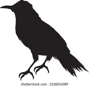 Bird Silhouette Vector Black White Stock Vector (Royalty Free ...