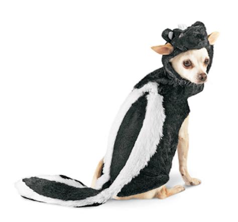 target offers affordable halloween costumes…for your pets! | Pet ...