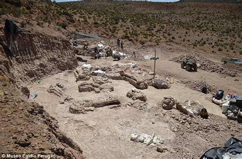 Scientists find largest dinosaurs Titanosaur fossil | Daily Mail Online