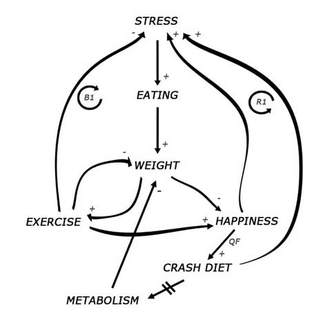 Causal Loop Diagram Examples Causal Loop Diagram