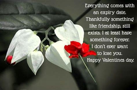 [45+ BEST] Valentines Day Quotes for Friends & Family 2021 - 101 ...