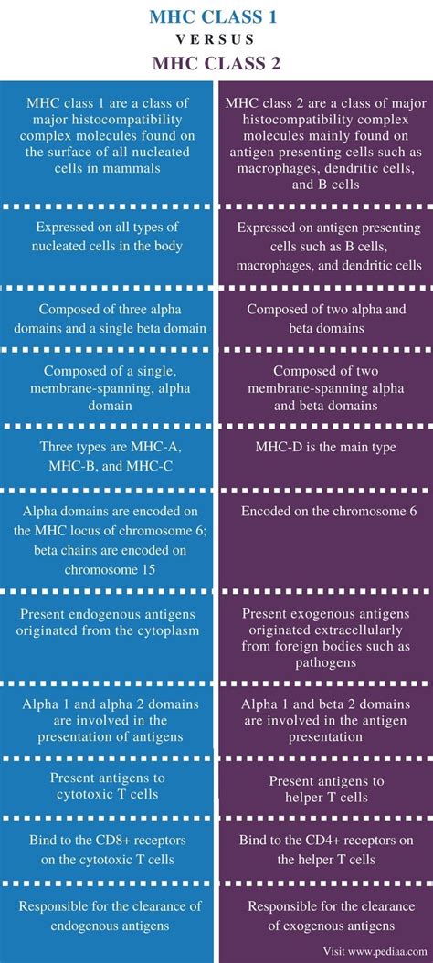 Difference Between MHC Class 1 and 2 | Definition, Structure, Antigen ...