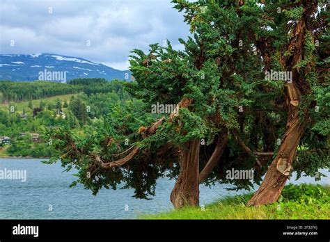 Lake, Ulvik, Norway Stock Photo - Alamy