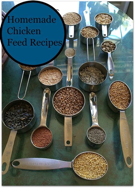 12 Homemade Chicken Feed Recipes- Give Your Chickens An Organic Food ...