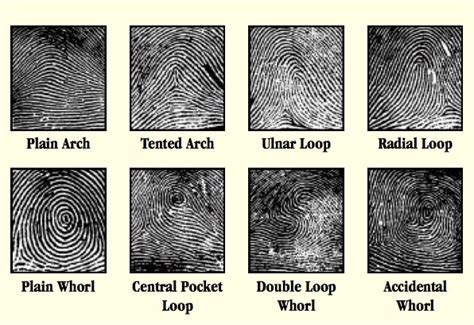 Understanding Fingerprints