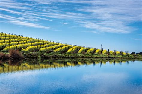 Five of the Most Beautiful Chardonnay Regions Worldwide | Wine Enthusiast