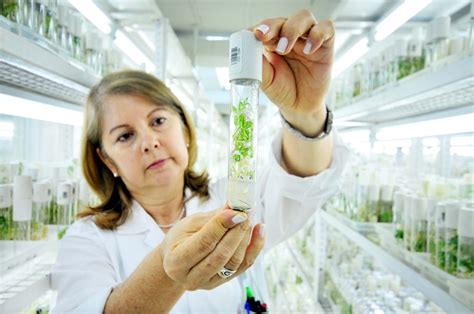 How To Become A Botanist - Careers Rising