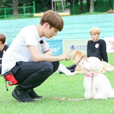 JK bts love dog .My Boyfriend Style. | Limpeza de pincéis de maquiagem ...