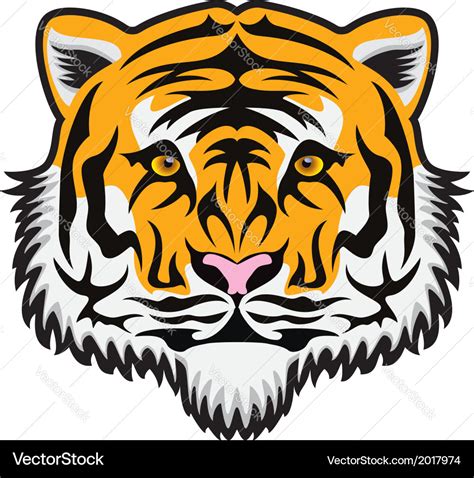 Tiger face Royalty Free Vector Image - VectorStock